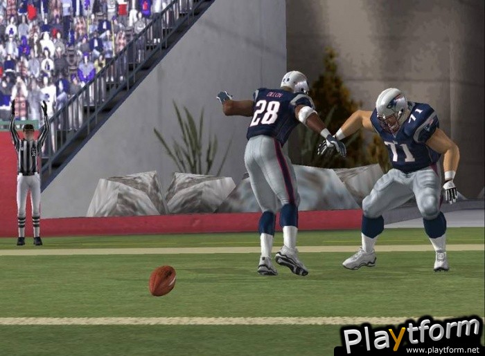 Madden NFL 06 (PC)