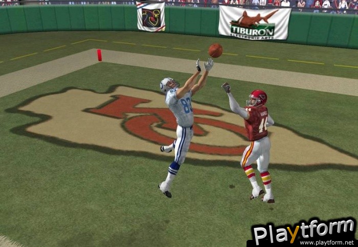 Madden NFL 06 (PC)