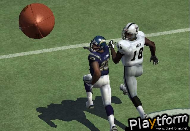 Madden NFL 06 (PC)