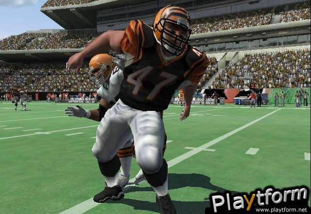 Madden NFL 06 (PC)