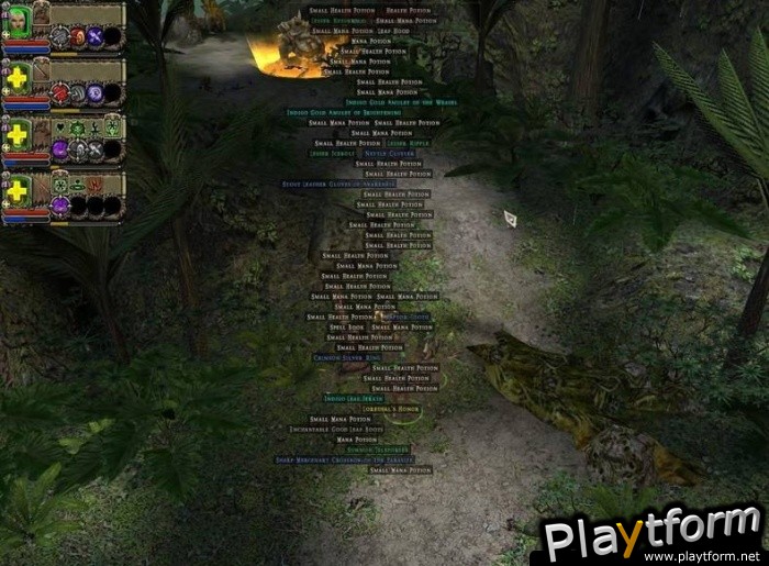 Dungeon Siege II (PC)