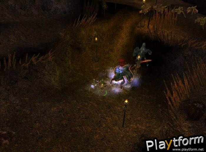 Dungeon Siege II (PC)