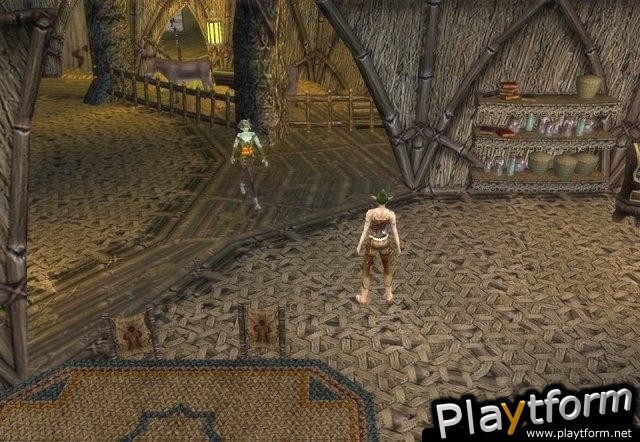 Dungeon Siege II (PC)