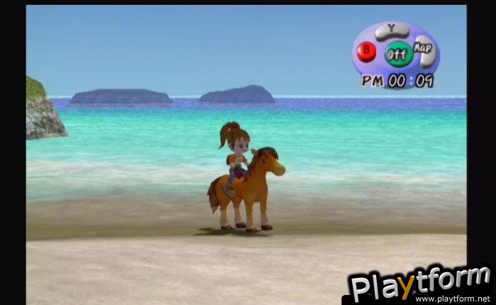 Harvest Moon: Another Wonderful Life (GameCube)