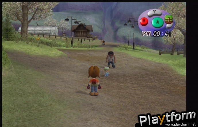 Harvest Moon: Another Wonderful Life (GameCube)