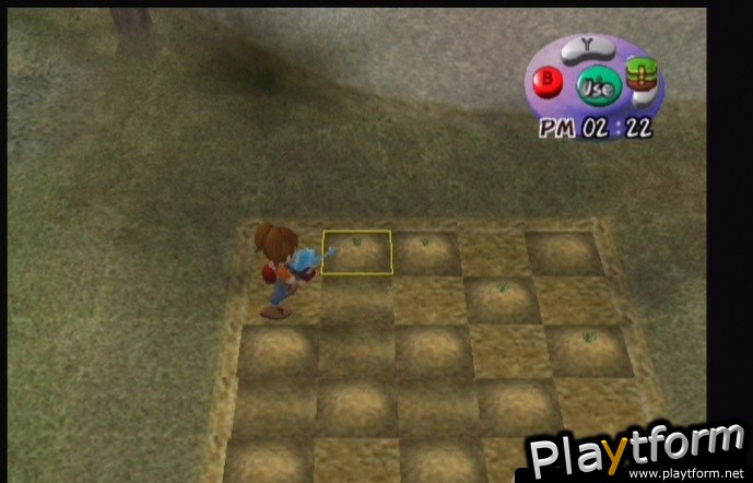 Harvest Moon: Another Wonderful Life (GameCube)