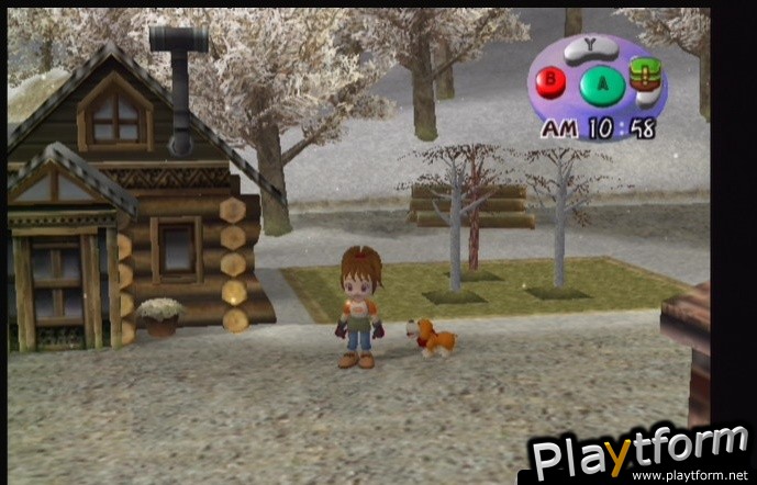 Harvest Moon: Another Wonderful Life (GameCube)