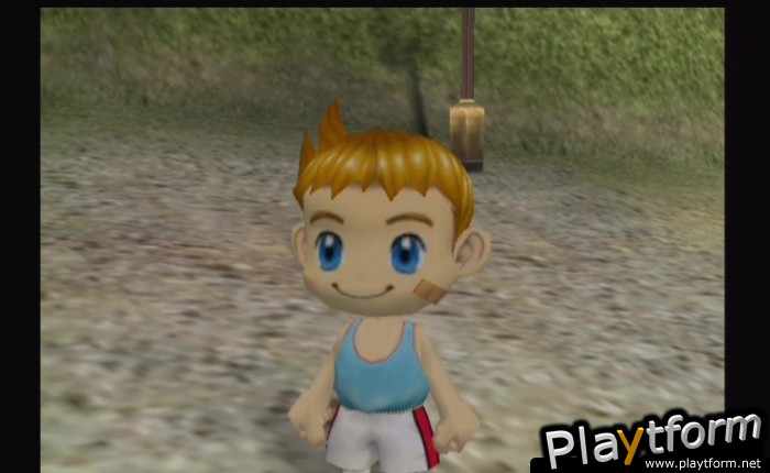 Harvest Moon: Another Wonderful Life (GameCube)