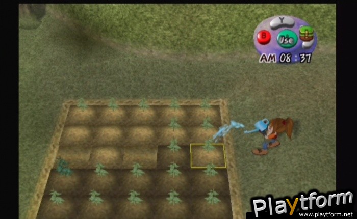 Harvest Moon: Another Wonderful Life (GameCube)