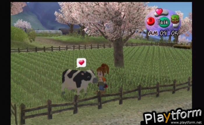 Harvest Moon: Another Wonderful Life (GameCube)