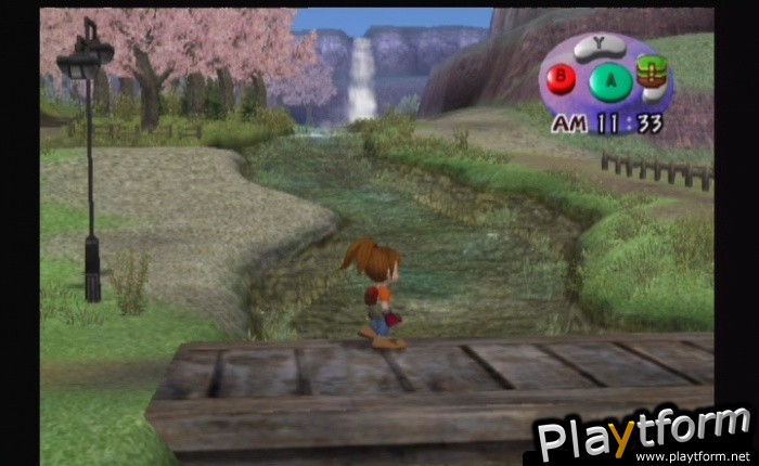 Harvest Moon: Another Wonderful Life (GameCube)