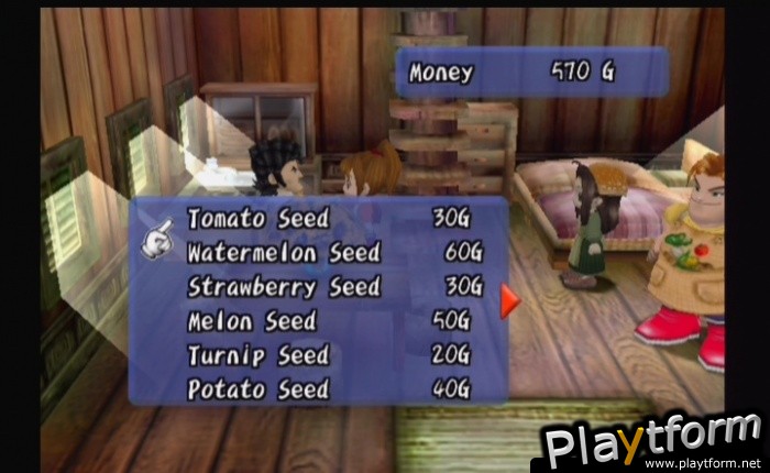 Harvest Moon: Another Wonderful Life (GameCube)