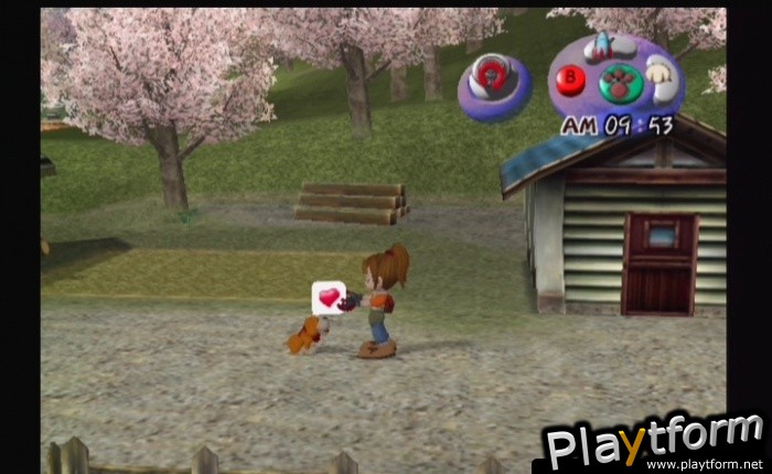 Harvest Moon: Another Wonderful Life (GameCube)