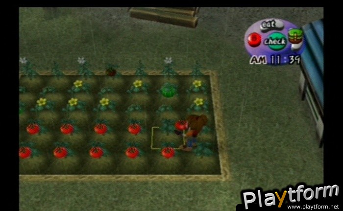 Harvest Moon: Another Wonderful Life (GameCube)