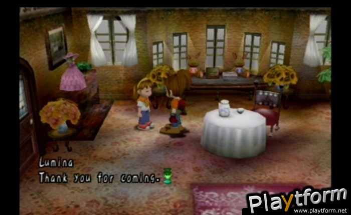 Harvest Moon: Another Wonderful Life (GameCube)