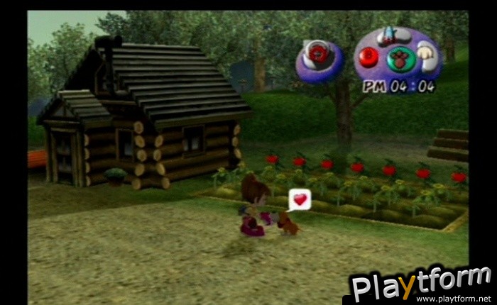 Harvest Moon: Another Wonderful Life (GameCube)