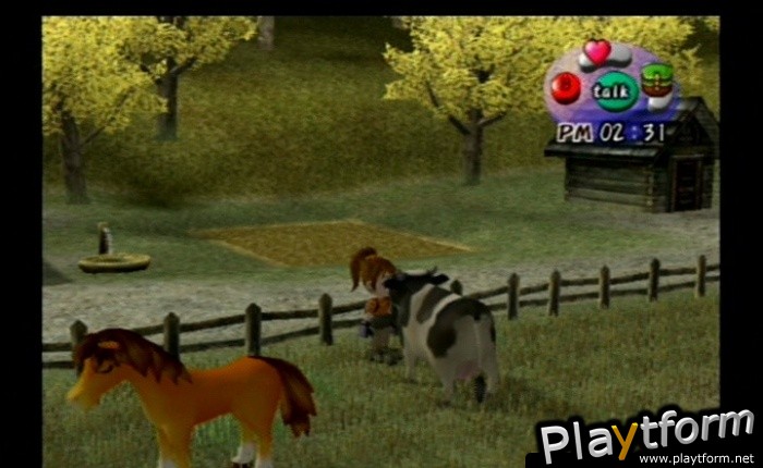 Harvest Moon: Another Wonderful Life (GameCube)