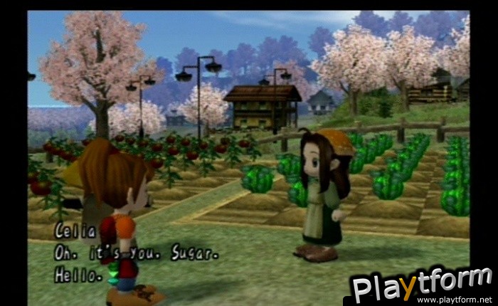 Harvest Moon: Another Wonderful Life (GameCube)