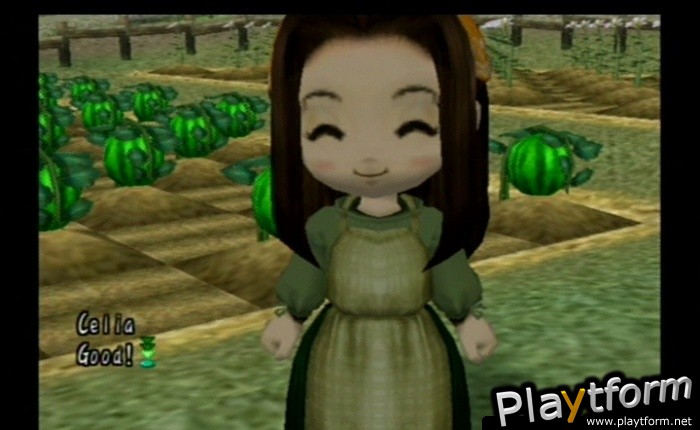 Harvest Moon: Another Wonderful Life (GameCube)