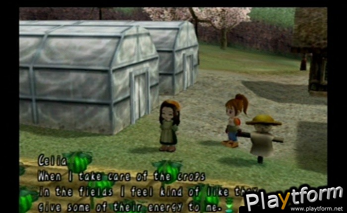 Harvest Moon: Another Wonderful Life (GameCube)