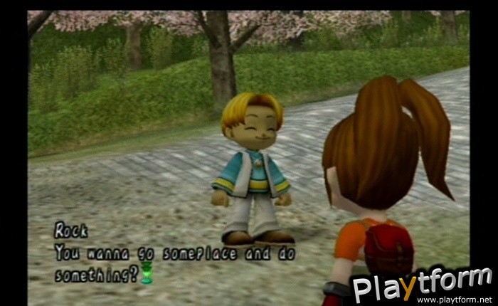 Harvest Moon: Another Wonderful Life (GameCube)