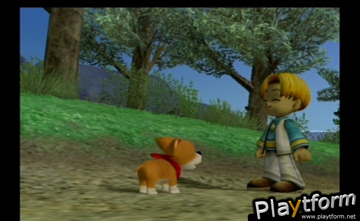 Harvest Moon: Another Wonderful Life (GameCube)