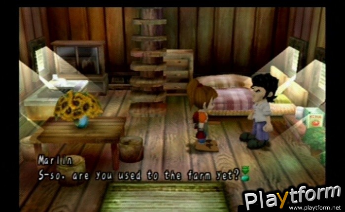 Harvest Moon: Another Wonderful Life (GameCube)