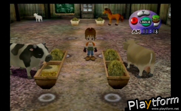 Harvest Moon: Another Wonderful Life (GameCube)