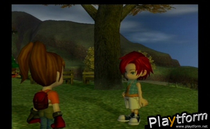 Harvest Moon: Another Wonderful Life (GameCube)