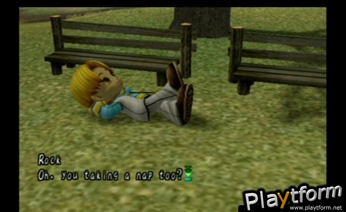 Harvest Moon: Another Wonderful Life (GameCube)