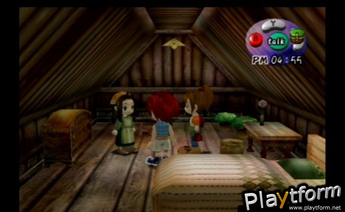 Harvest Moon: Another Wonderful Life (GameCube)