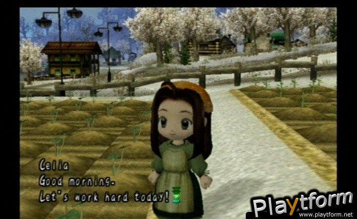 Harvest Moon: Another Wonderful Life (GameCube)