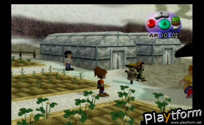 Harvest Moon: Another Wonderful Life (GameCube)