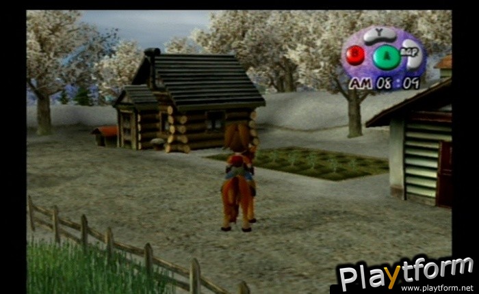 Harvest Moon: Another Wonderful Life (GameCube)