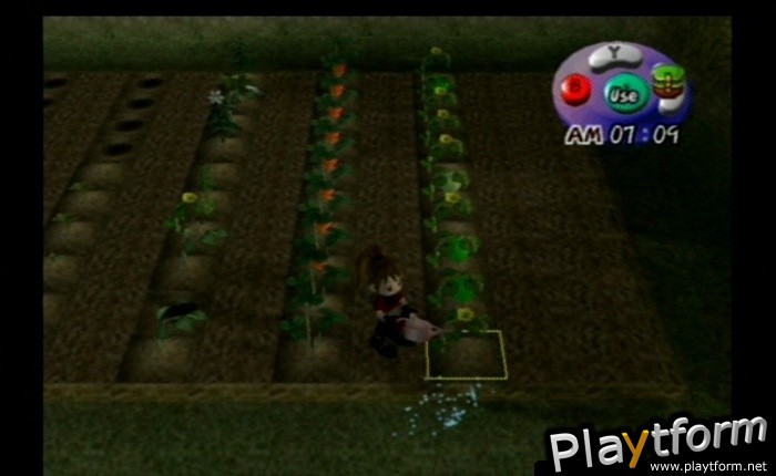 Harvest Moon: Another Wonderful Life (GameCube)