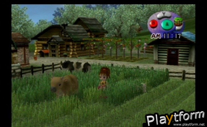 Harvest Moon: Another Wonderful Life (GameCube)