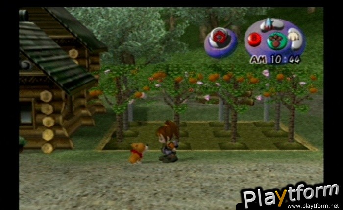 Harvest Moon: Another Wonderful Life (GameCube)