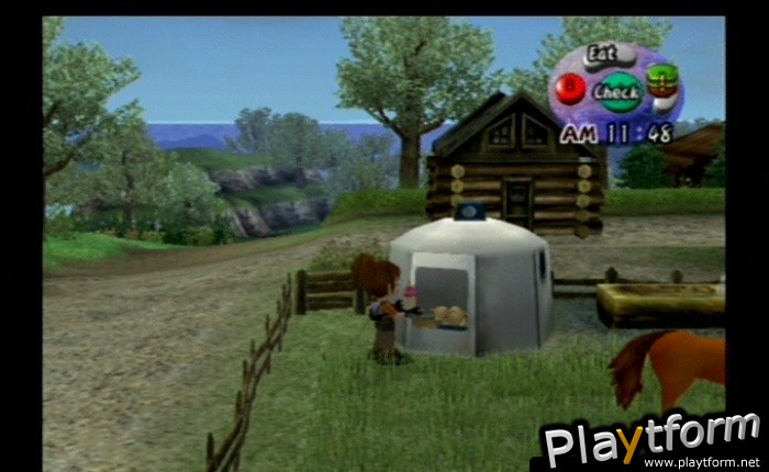 Harvest Moon: Another Wonderful Life (GameCube)