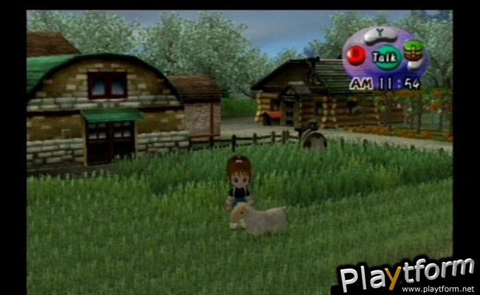 Harvest Moon: Another Wonderful Life (GameCube)