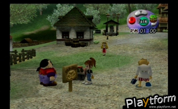 Harvest Moon: Another Wonderful Life (GameCube)