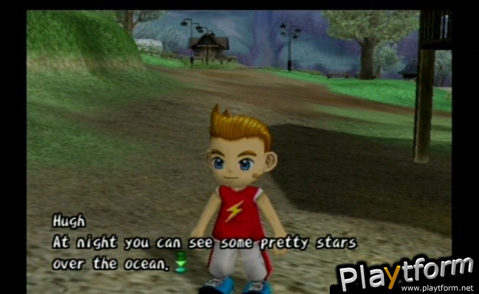 Harvest Moon: Another Wonderful Life (GameCube)