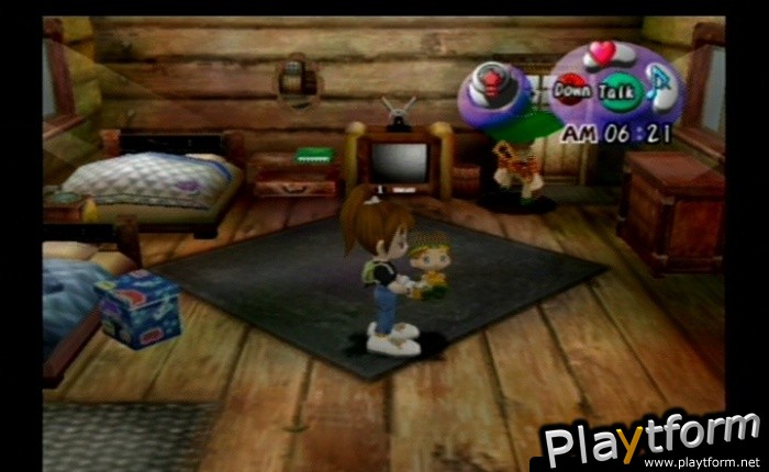 Harvest Moon: Another Wonderful Life (GameCube)