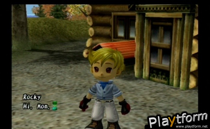 Harvest Moon: Another Wonderful Life (GameCube)