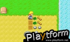 Harvest Moon: More Friends of Mineral Town (Game Boy Advance)