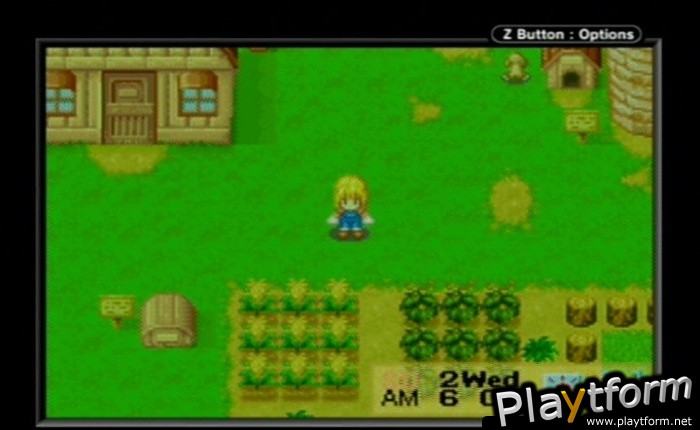 Harvest Moon: More Friends of Mineral Town (Game Boy Advance)