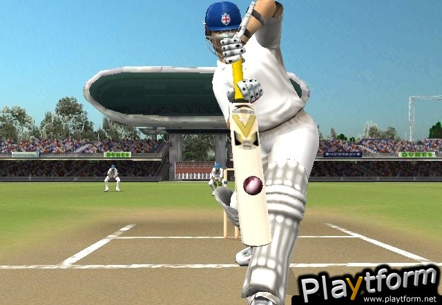 Brian Lara International Cricket 2005 (PC)