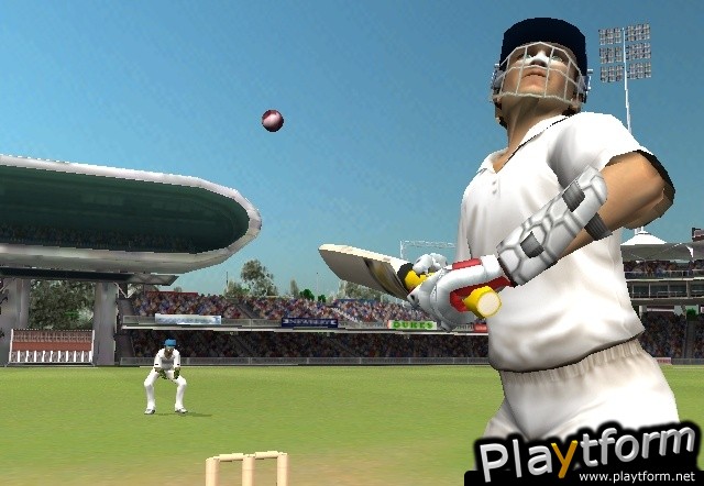 Brian Lara International Cricket 2005 (PlayStation 2)