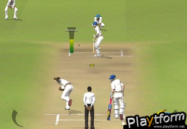 Brian Lara International Cricket 2005 (PlayStation 2)