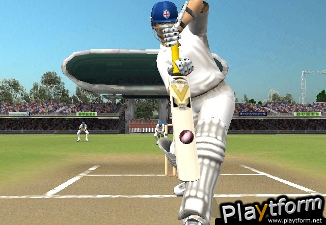 Brian Lara International Cricket 2005 (PlayStation 2)