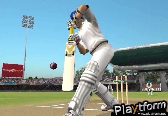 Brian Lara International Cricket 2005 (PlayStation 2)